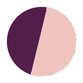 Jasper Plum