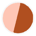 Amber Silk